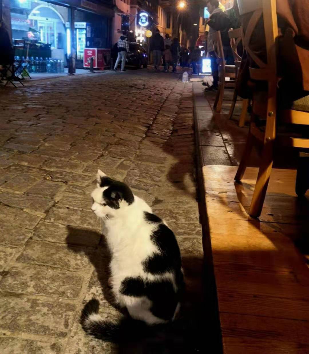 Fantadental在土耳其，我们感谢这一刻的相聚