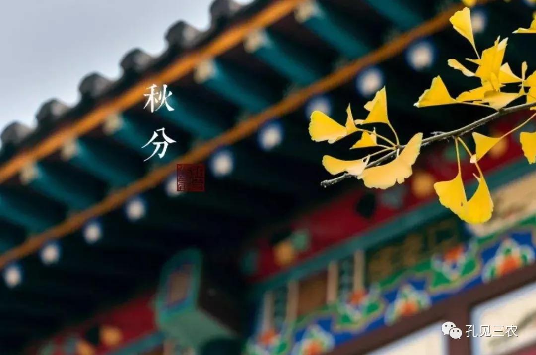 今天是秋分上午好问候图片,今天是秋分节的感悟