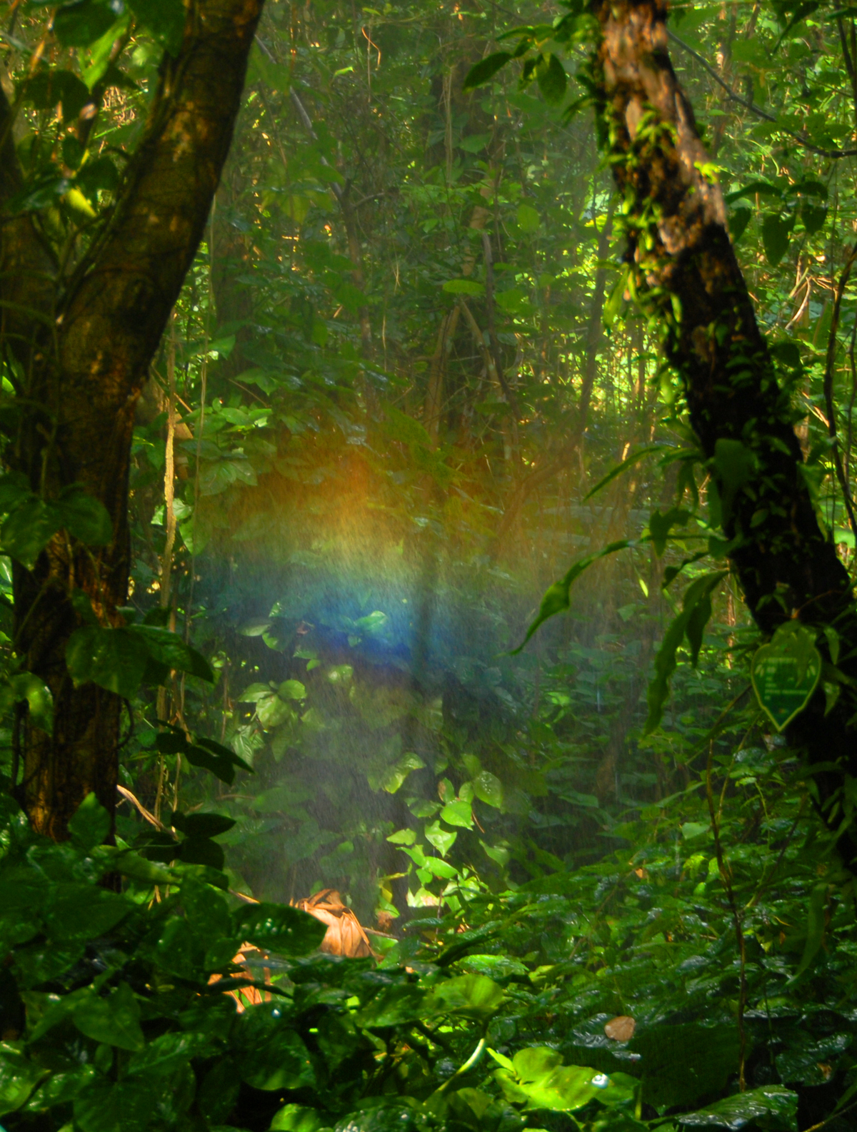三亚三日游攻略必去景点,三亚除了呀诺达还有什么值得玩