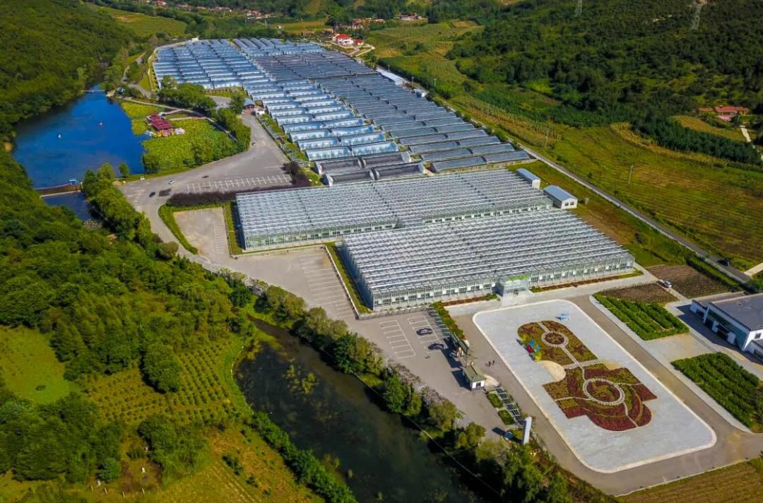 祖国颂|走进大梨树看小康