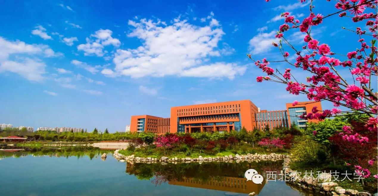 清华博士放弃五亿年薪回乡养牛,放弃300万年薪的博士