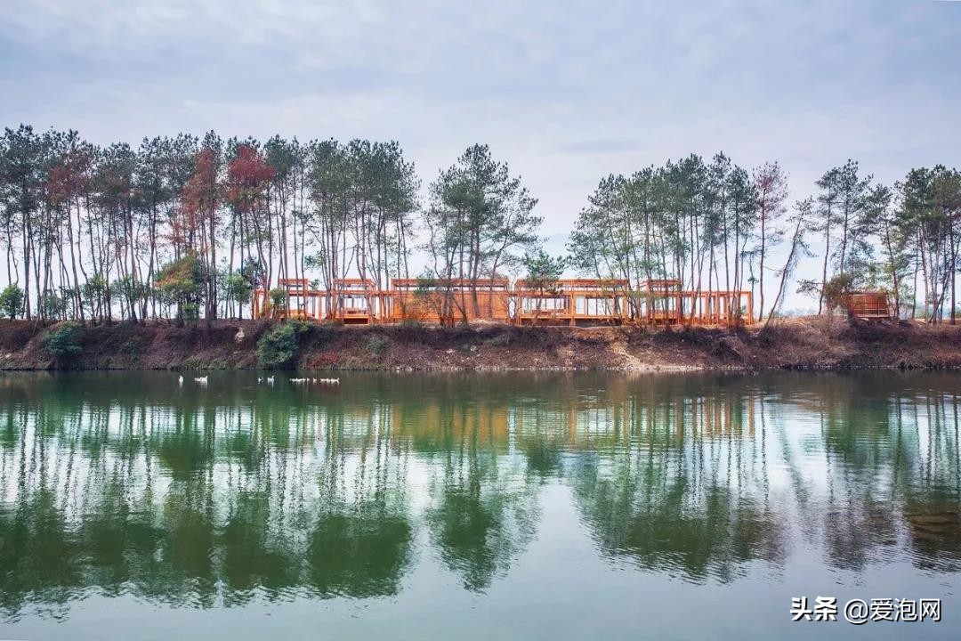 南方最适合自驾游的地方美爆了,江南十大最美自驾游路线
