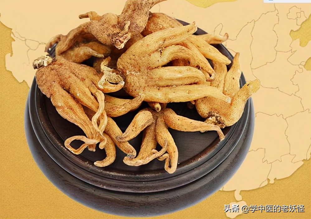 每日学习一味中药陈皮,每日学一味中药