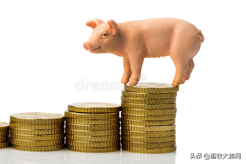 生猪出栏减少，高管大换血，中报巨亏，大卖资产，天邦今年有点难