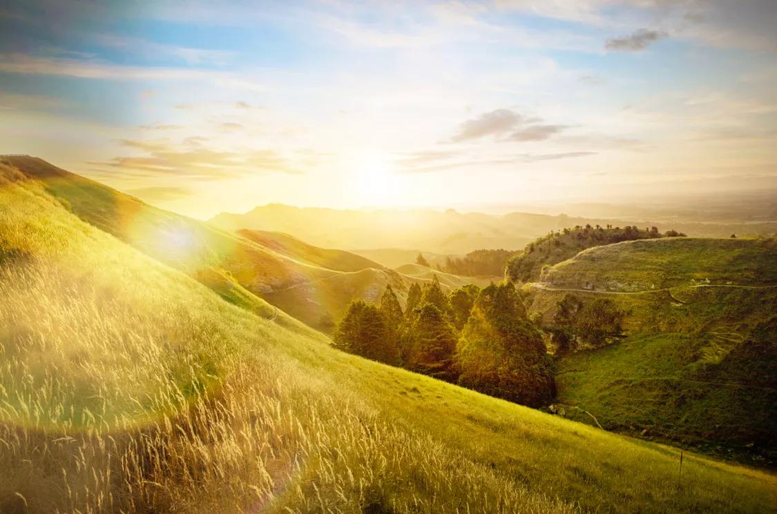 新西兰康维他麦卢卡蜂蜜硬糖,新西兰麦卢卡纯天然蜂蜜