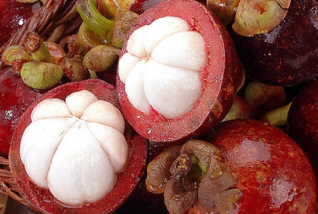 山竹挑选小技巧学会了个个都新鲜,挑选好又甜的山竹方法介绍