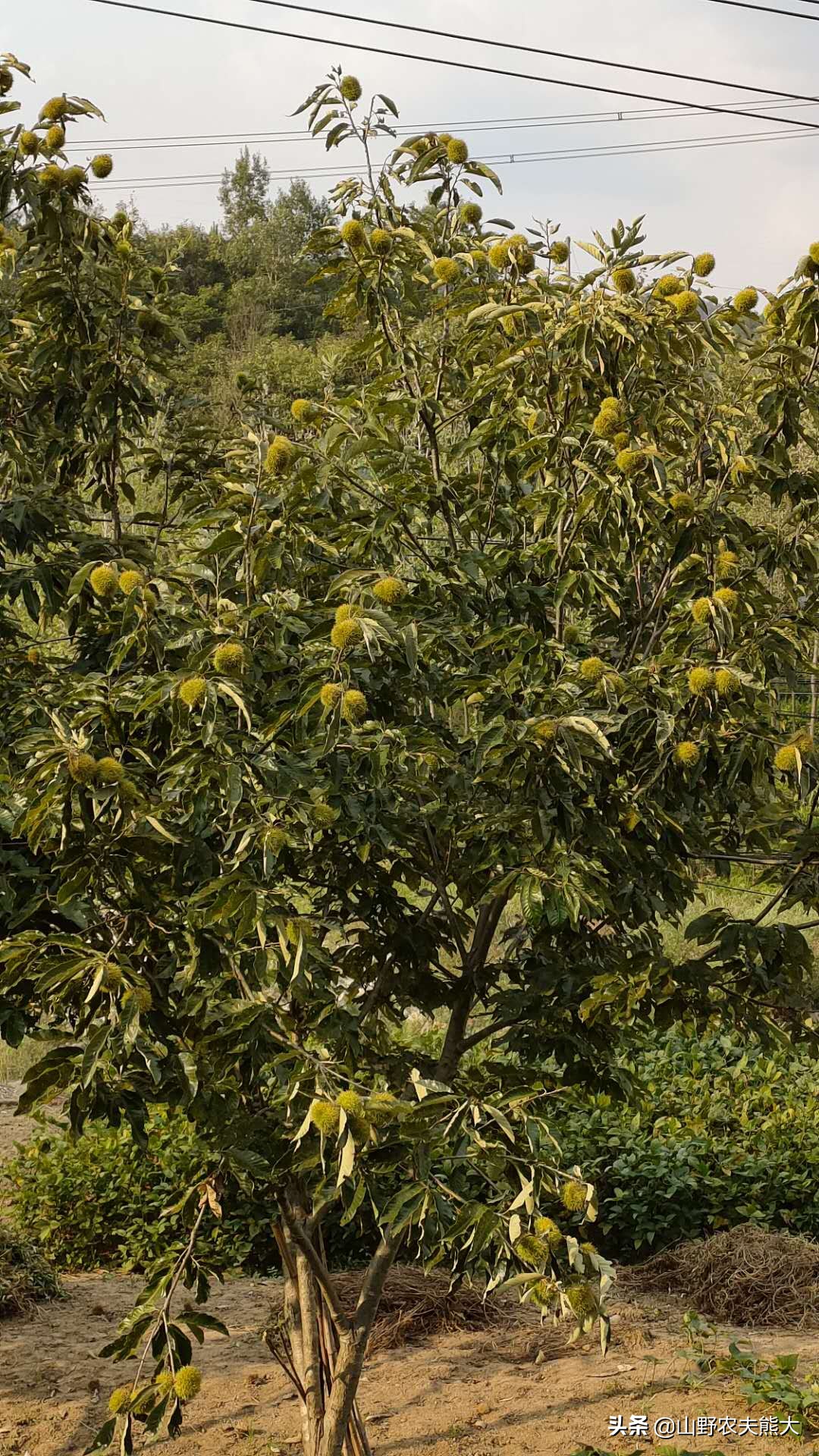 刚开始卖东西没有生意怎么办,刚开始卖不出去货