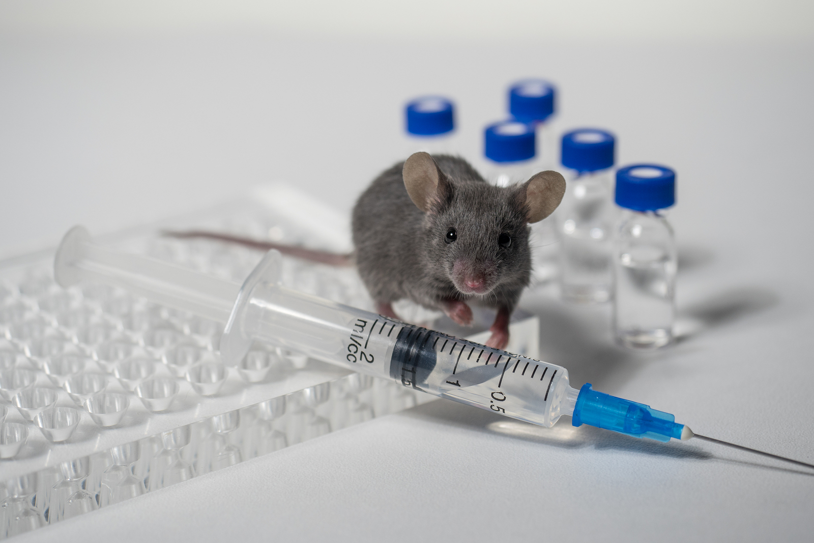 氯喹治疗冠状病毒,氯喹治疗新型冠状病毒的用法