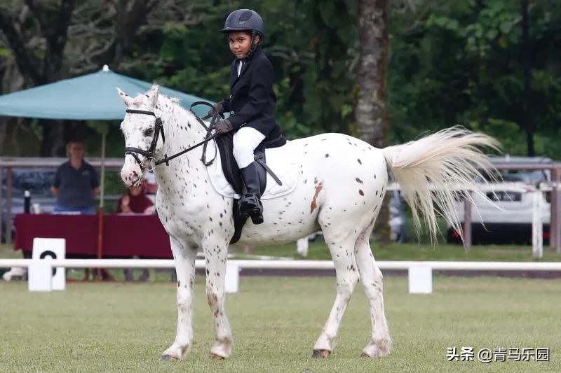 马术对自闭症有好处吗,自闭症马术公益