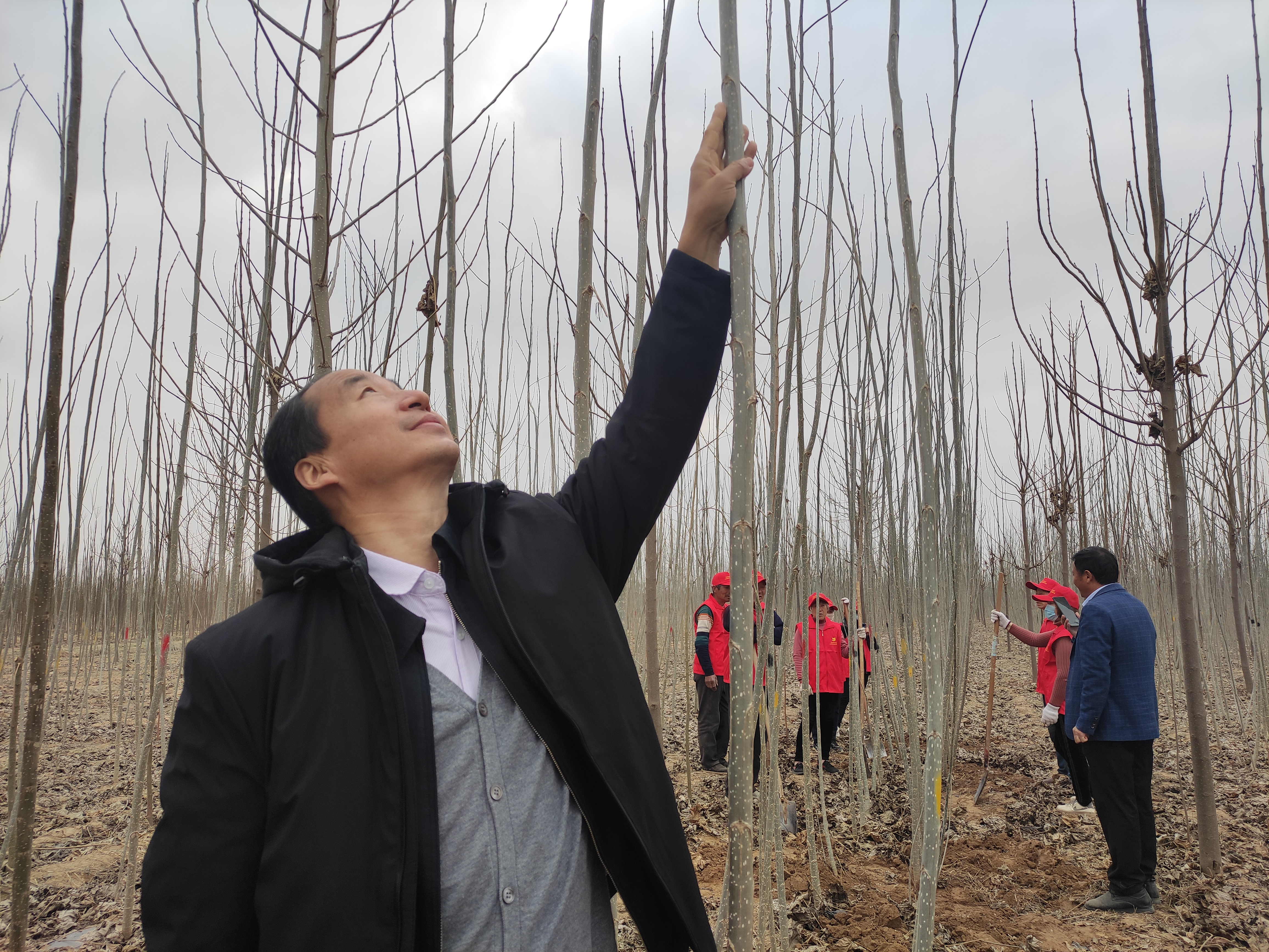 筑牢生态屏障,筑牢生态屏障守护美好家园