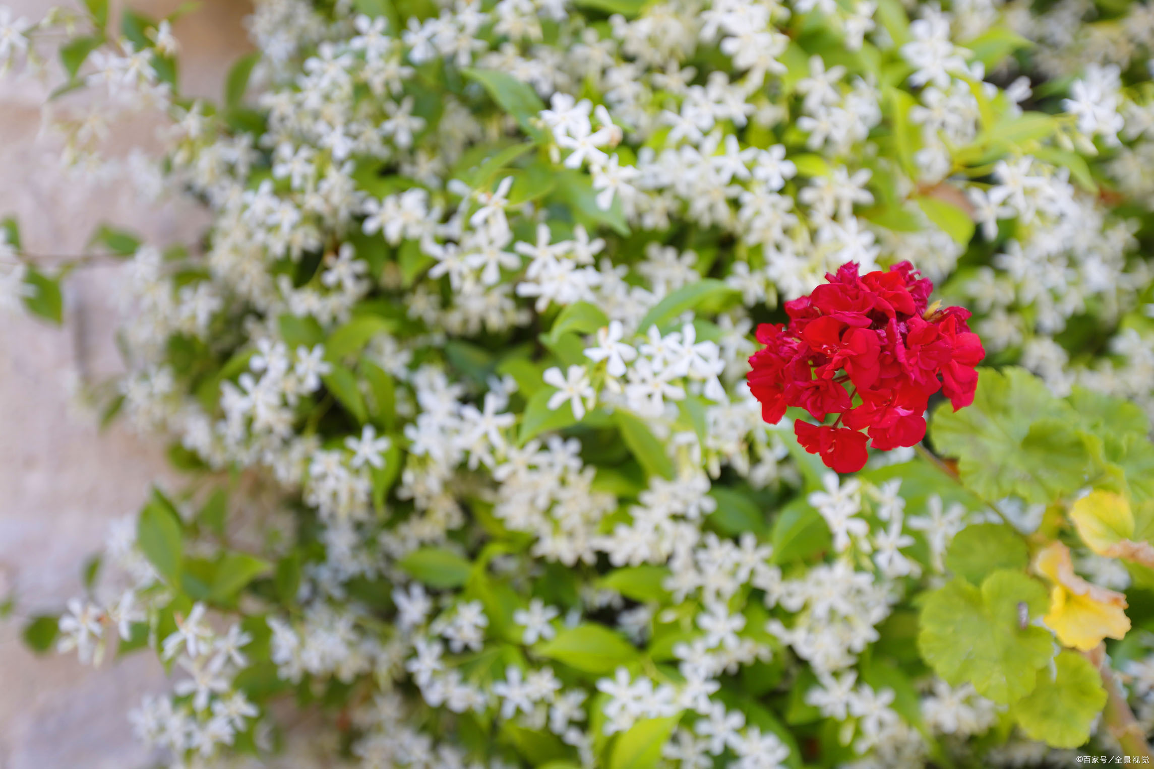 女朋友问我们合适吗怎么回答,我女朋友怎么样