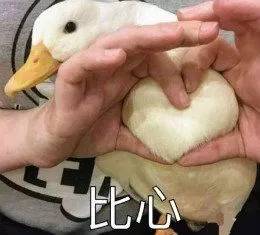 打底袜秋冬怎么选颜色,打底袜怎么挑