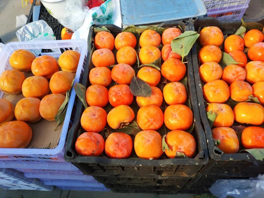 周边最便宜的大集在哪里,10元一两的大集