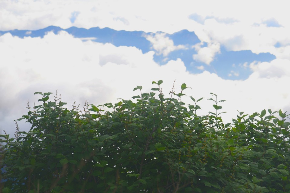 驼梁‖一处来了就会让你爱上的地方