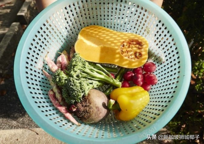 新加坡原装进口食品,在新加坡怎么进口食品