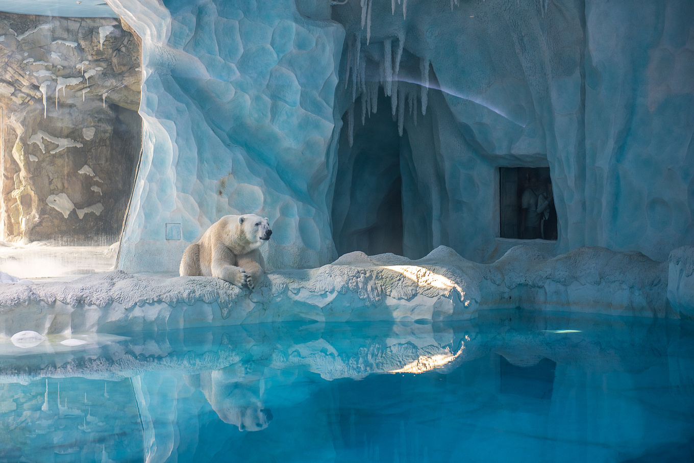 珠海长隆龙秀适合小朋友看吗,珠海长隆海洋王国值得打卡的地方