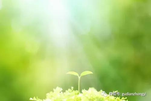 附子回阳救逆功效,附子扶阳的方剂