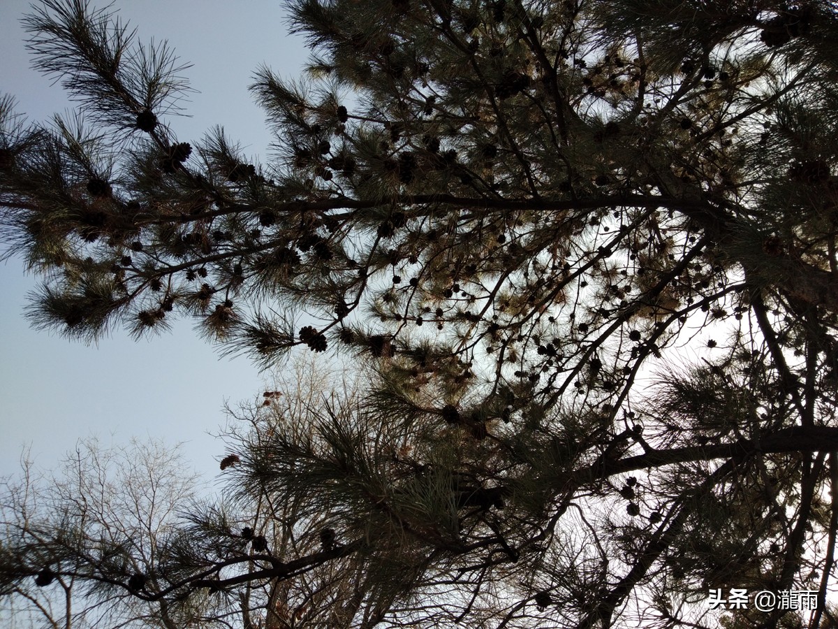 一个人浙江周边2-3天短途旅游,浙江出发1000公里以内旅游