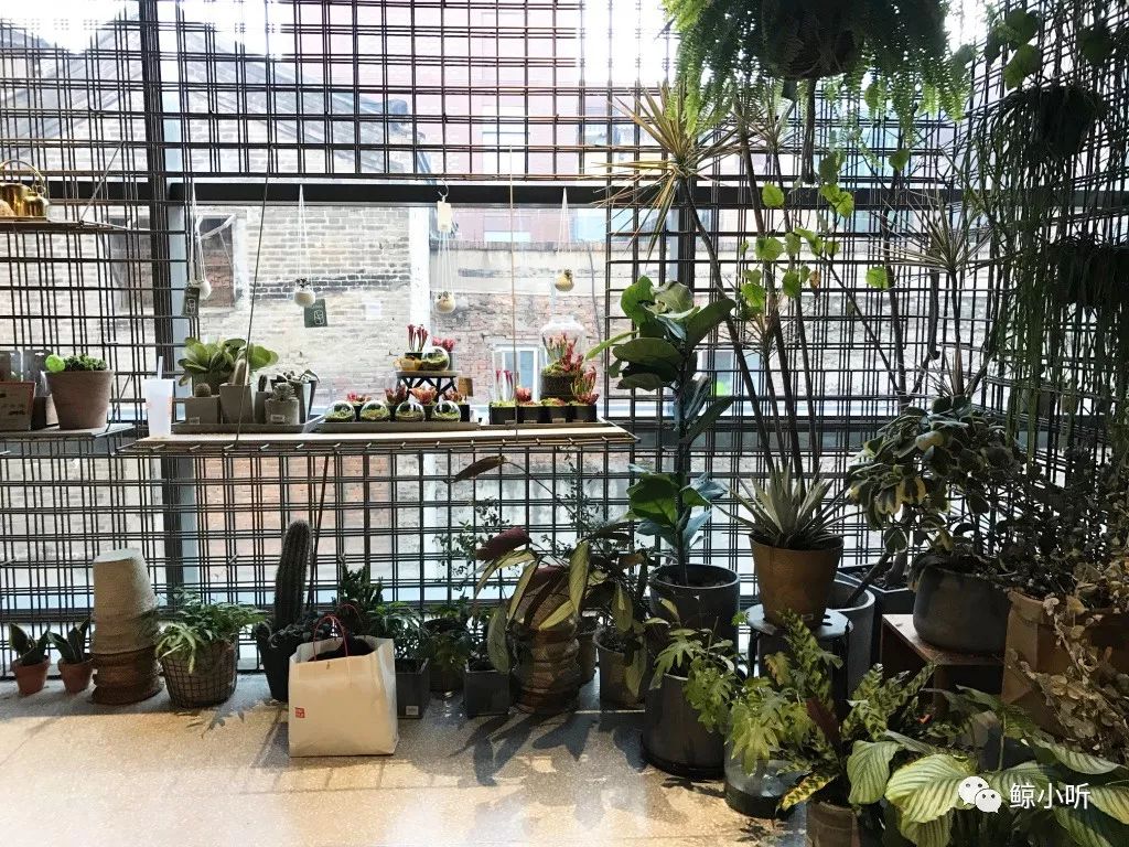 北京最大的儿童图书馆,北京必打卡十家网红图书馆