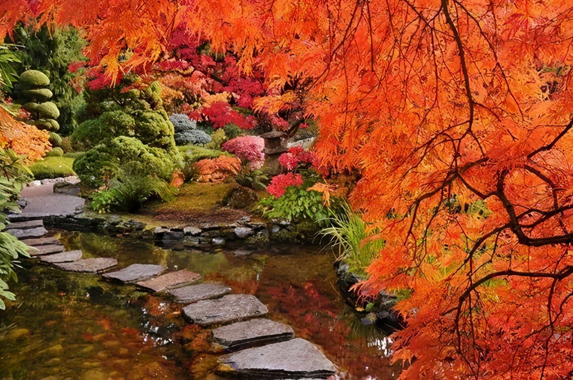 布查德花园的秋冬季,全球最美花园布查特花园