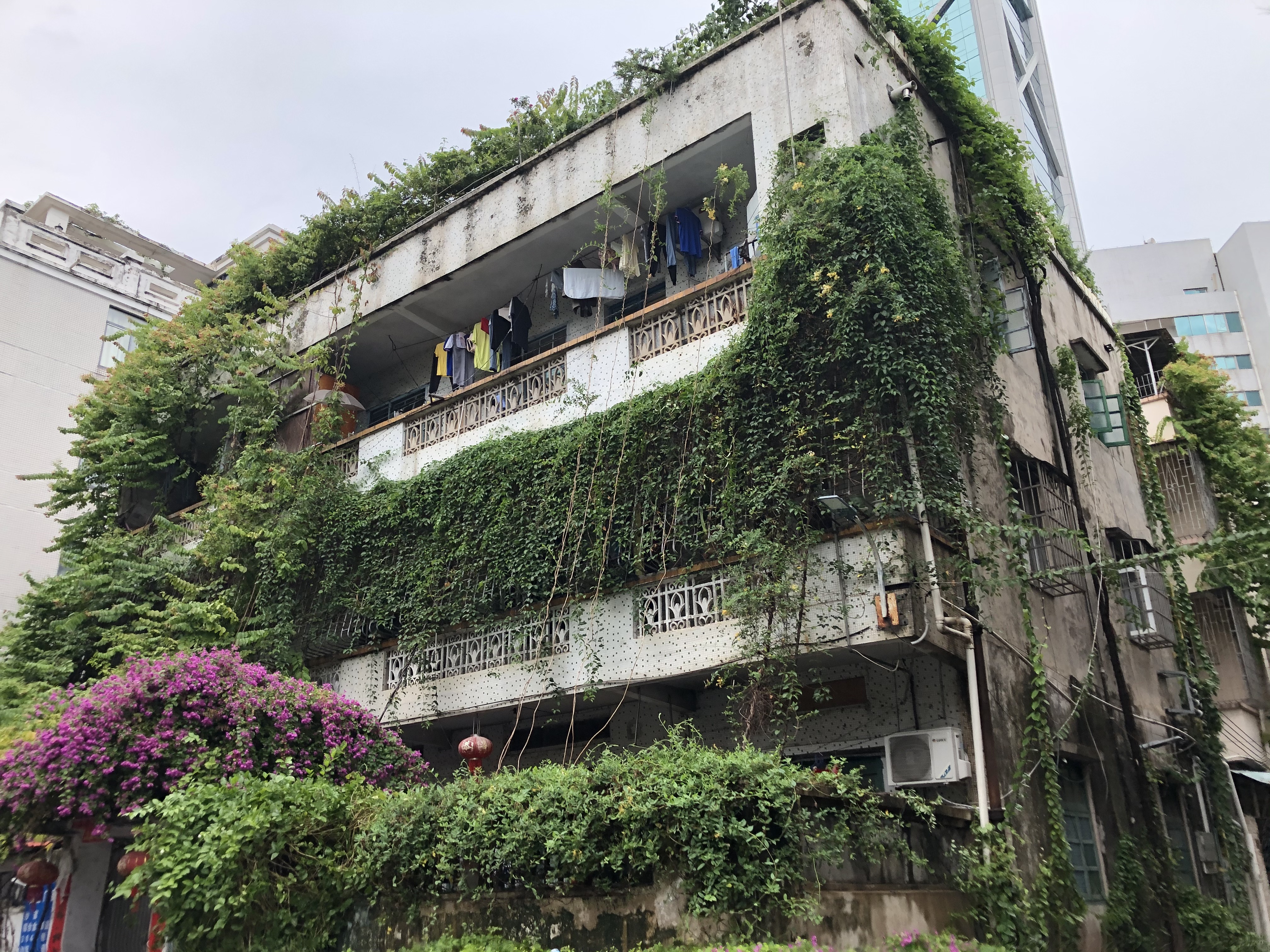 海口为什么容易出现内涝,海口小区内涝