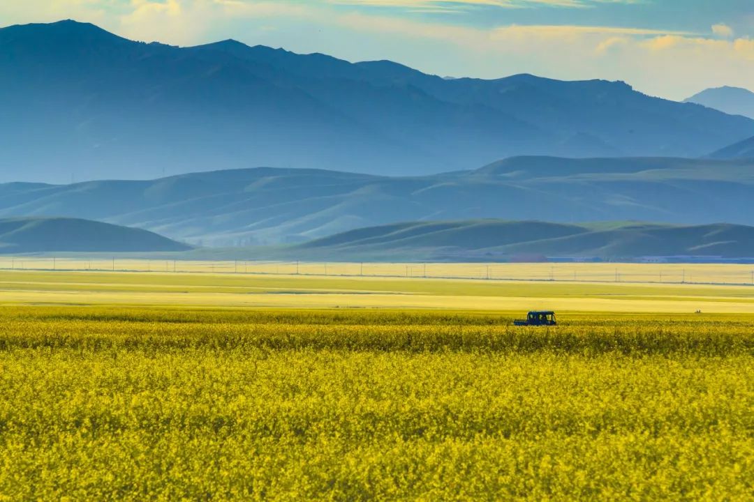 涓嶈兘鍘诲鍦扮殑鐞嗙敱,浜旂浜轰笉鑳藉幓鐤嗗唴鏃呮父