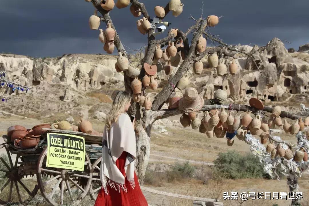 也许是我爸妈心大，才遗传了我这么心大