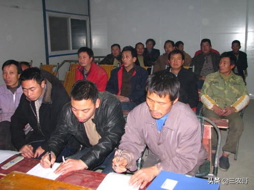 回农村做什么项目赚钱,当下农村生意最赚钱的项目