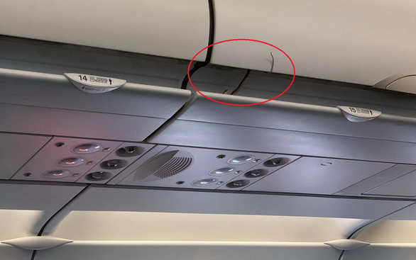 吓人！越南航班准备起飞空姐忽然发现机舱有蛇旅客全下机