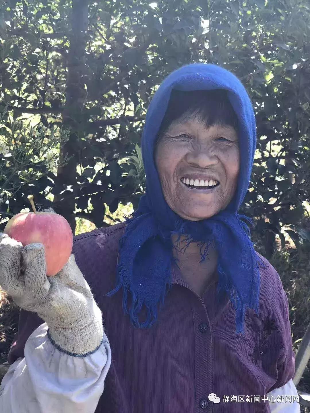 闈欐捣2018,闈欐捣2017