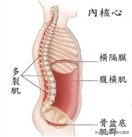 宝妈小腹突出怎么锻炼,宝妈肚子怎么练都紧致
