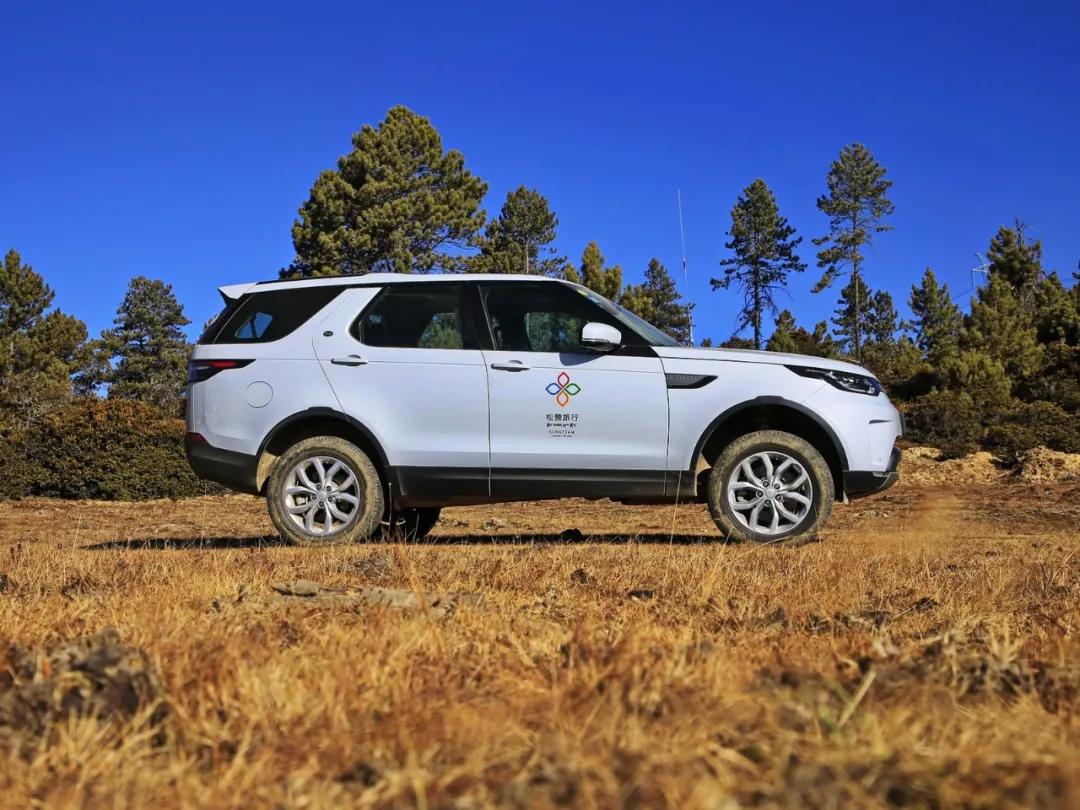 五折新款快来捡漏,超便宜平民车有哪些车型