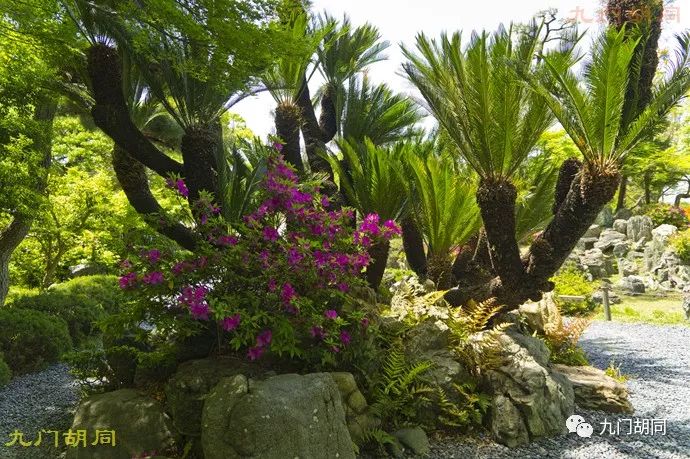 德川家康1983在线观看,名古屋城德川家康