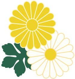 手魔人魔方三阶提速玩法,三阶魔方cfop提速方法