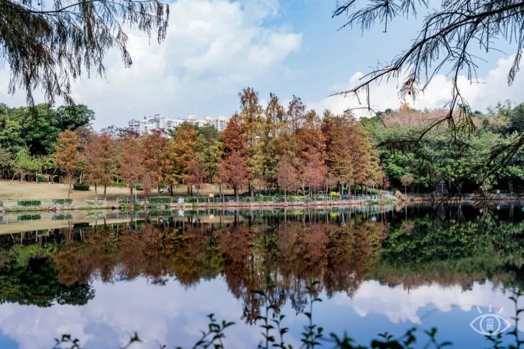 天下最美湖泊西湖,比西湖更美的湖泊