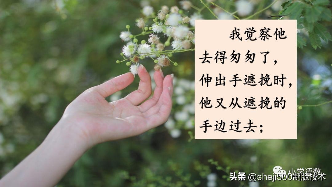 六年级下册语文书8课匆匆的预习,部编版六年级下第八课匆匆讲解