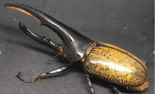 端午节好耍的亲子地方,端午节去哪儿玩适合儿童