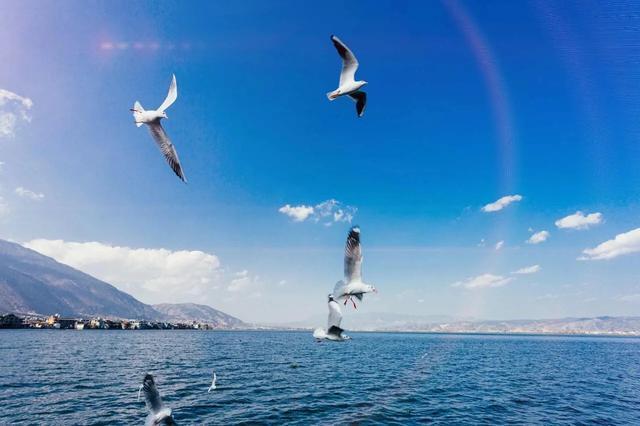 干货分享：“我想学经济学，开出租车的叔叔说没用”