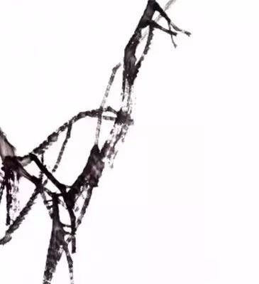 写意柿子叶的画法步骤图,徐湛写意柿子的画法