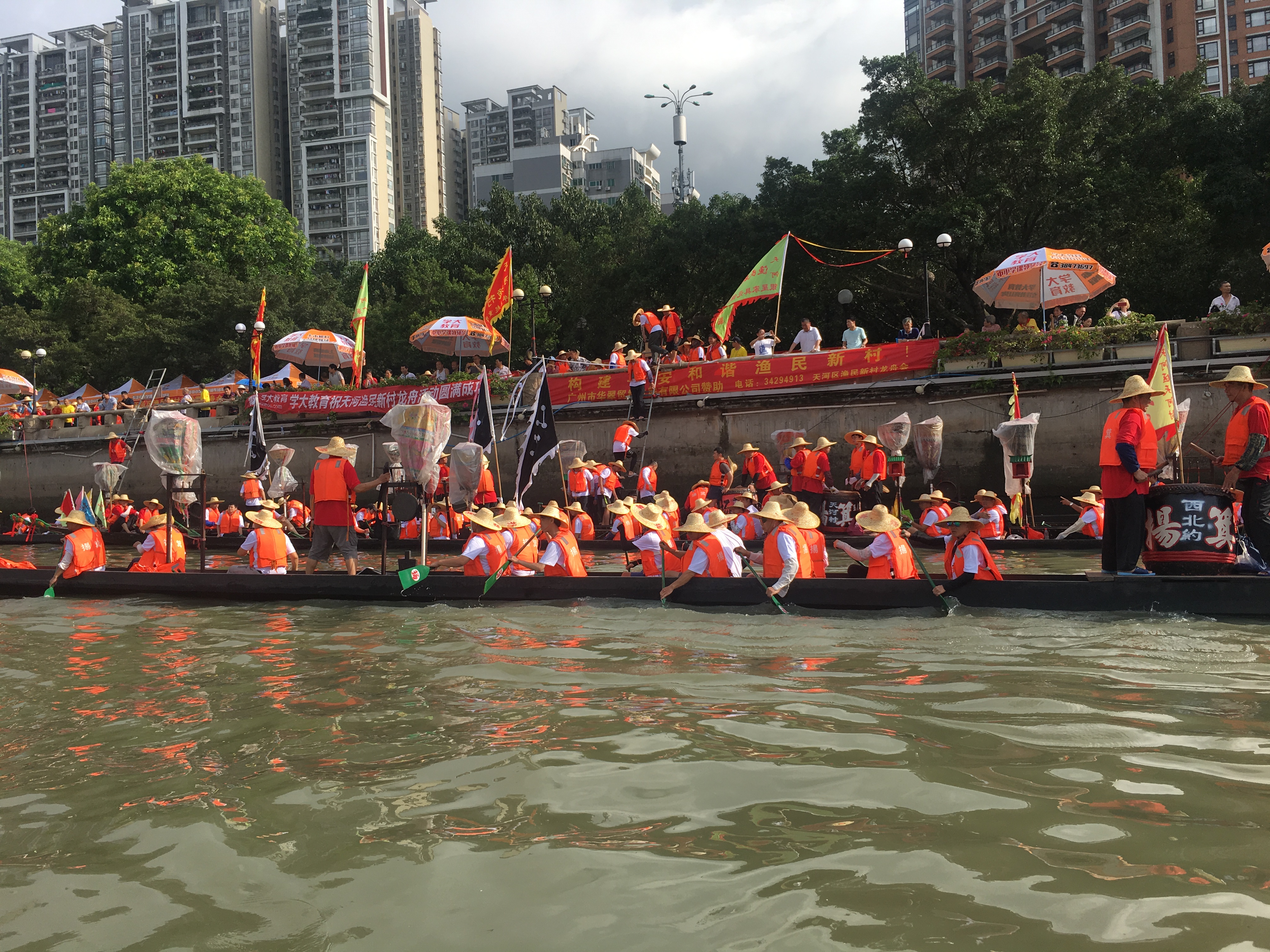 杨箕龙舟,杨箕村龙舟