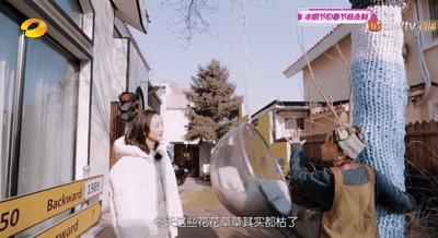 没有逆袭，不是爽文女主，31岁黄雅莉的人生就输了？