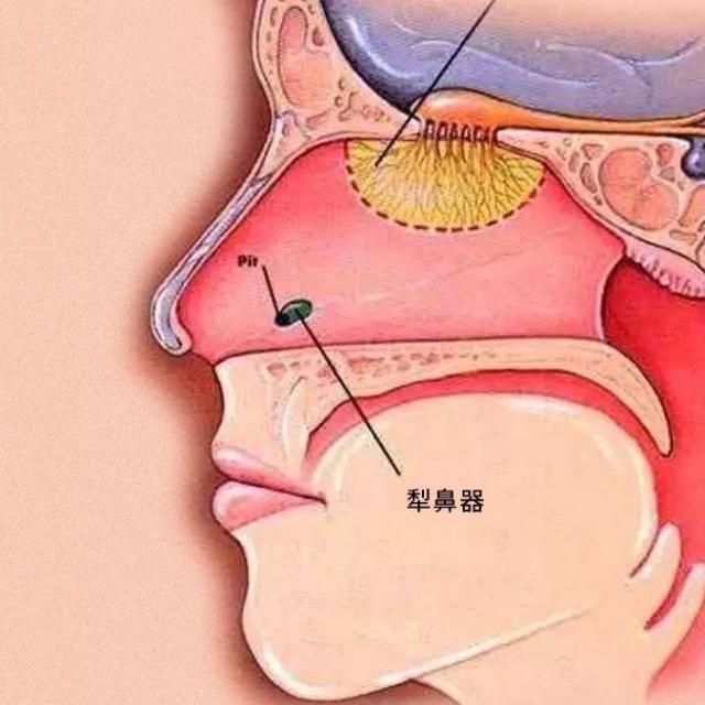在秋天要和最好的人做最好的事,秋天要和喜欢的人做的事