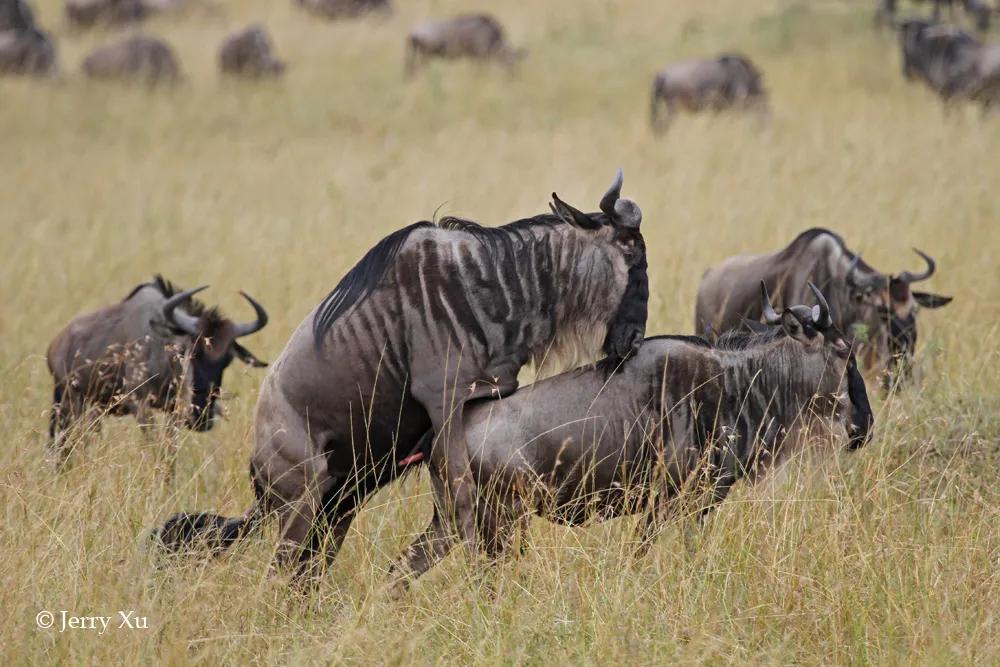 情人节适合干什么事,情人节对方做过最让你感动的事