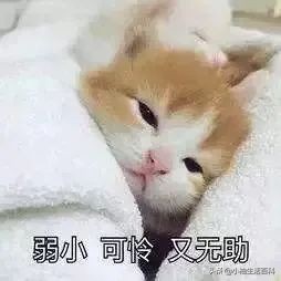 脸部暗沉痘印毛孔粗大怎么自救,毛孔粗大与痘印痘坑的自救指南