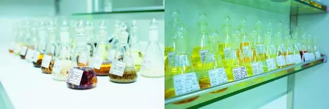 品质就是王道，梦禾不惧比较