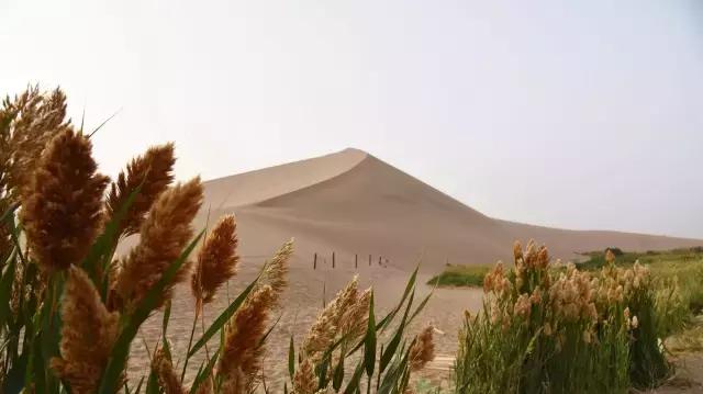 她的美是你无法企及的,她的美是不可方物的美