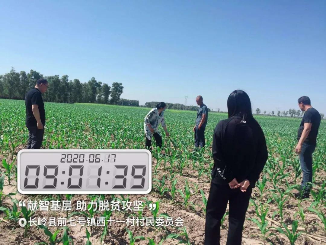 松原市百名专家顾问团助力决战决胜脱贫攻坚进行时