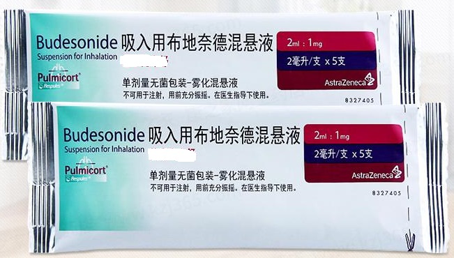治疗儿童支气管哮喘的中成药,主要用于预防支气管哮喘的药物是