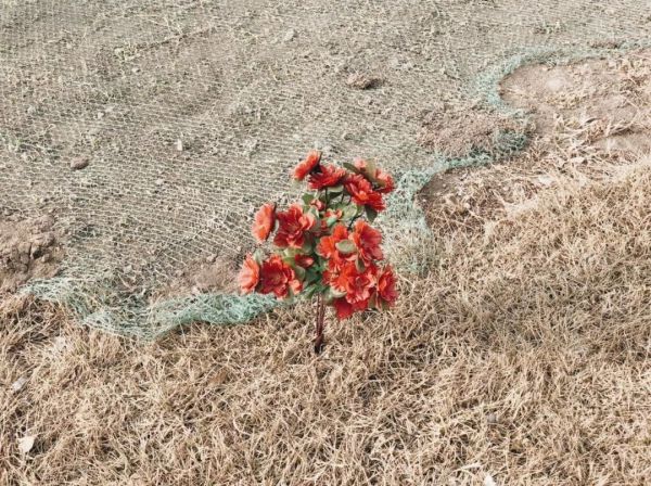 摄影瓶颈期怎么打破,怎样度过摄影瓶颈期