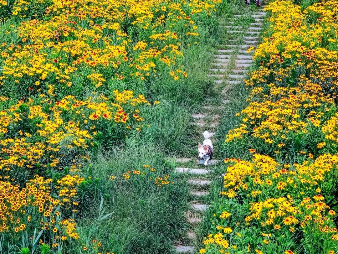 在济南花式避暑，一见“清”心！只需一瞥，便足以把酷夏原谅…